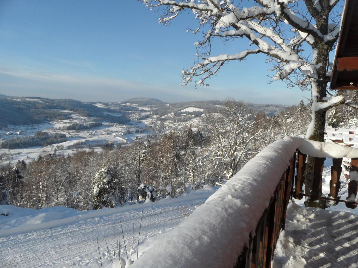 Chalet Les Moraines 8 勒索里 外观 照片